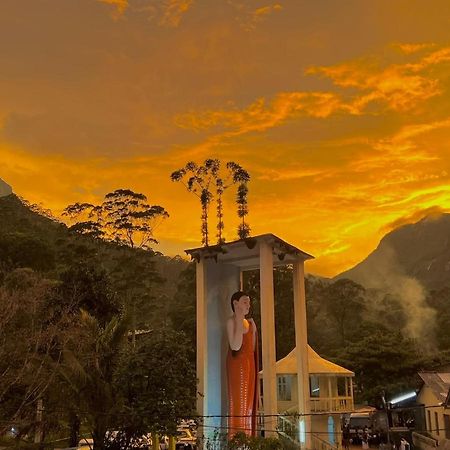 Mountain Villa Adam'S Peak Nallathanniya Ngoại thất bức ảnh